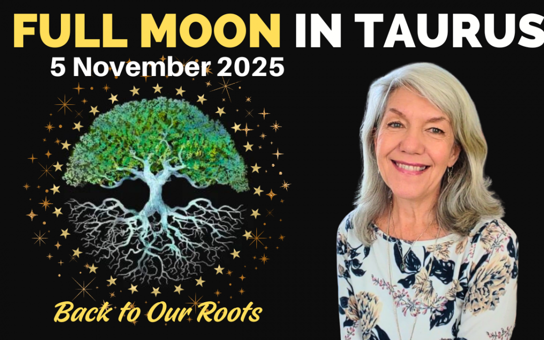 Full Moon November 5th 2025 – Back to our Roots